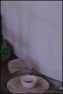 ������� �������������