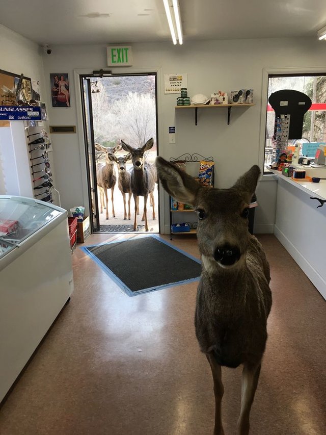 ����� � ��������