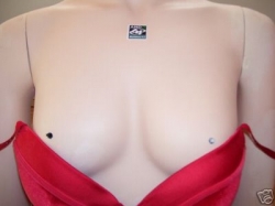 ���� ��� ��������