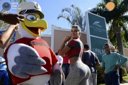 ���� ��� ��������